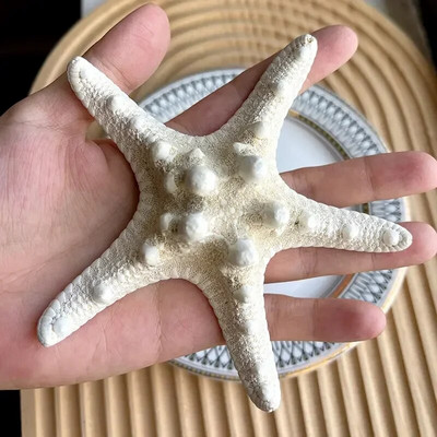 Dabiski mini gliemežnīcas Vidusjūras 1 maiss Interesanti krāsaini jaukti reāli mazi jūras gliemežvāki akvārija jūras dekorācijas rotājumi