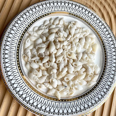 Dabiski mini gliemežnīcas Vidusjūras 1 maiss Interesanti krāsaini jaukti reāli mazi jūras gliemežvāki akvārija jūras dekorācijas rotājumi