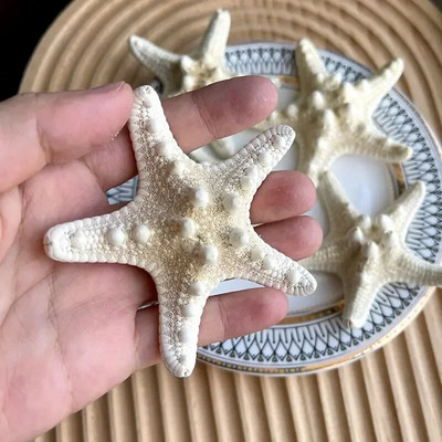 Dabiski mini gliemežnīcas Vidusjūras 1 maiss Interesanti krāsaini jaukti reāli mazi jūras gliemežvāki akvārija jūras dekorācijas rotājumi