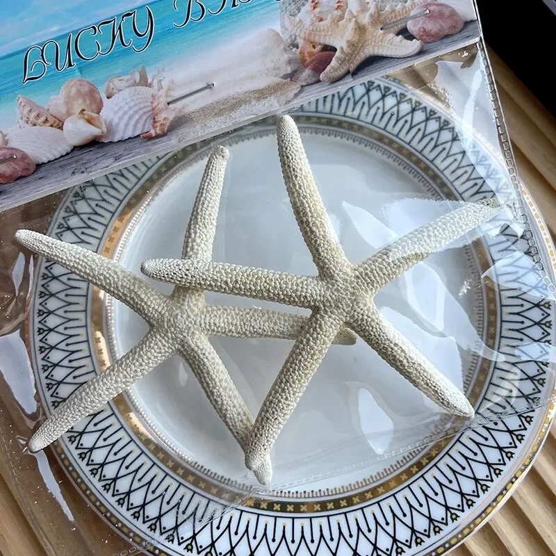 Dabiski mini gliemežnīcas Vidusjūras 1 maiss Interesanti krāsaini jaukti reāli mazi jūras gliemežvāki akvārija jūras dekorācijas rotājumi