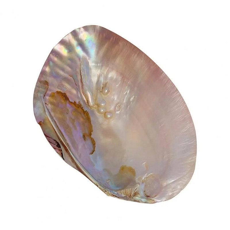 Naudingas laikymo konteineris Natūralus dekoratyvinis kompaktiškas meninis amatų korpuso laikymo konteineris