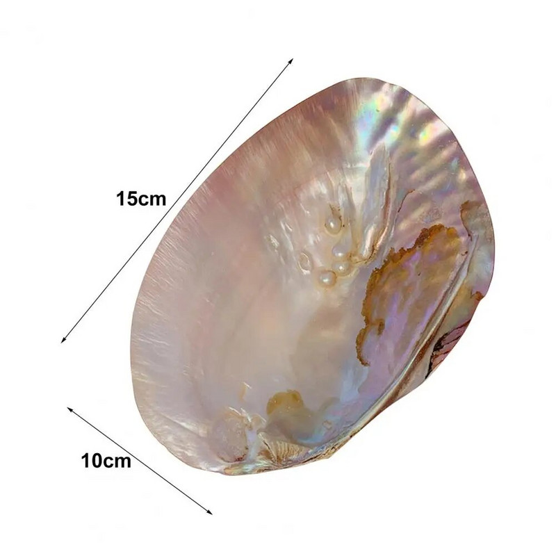 Naudingas laikymo konteineris Natūralus dekoratyvinis kompaktiškas meninis amatų korpuso laikymo konteineris