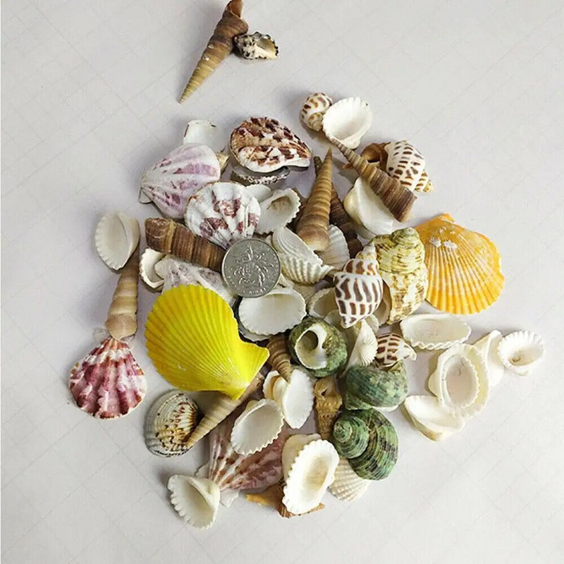 100g/pak. Prirodna mješavina morskih školjki školjke Diy mikro krajolik za vrtne ribe Ukrasi za akvarij Ukrasi za dom R7n3