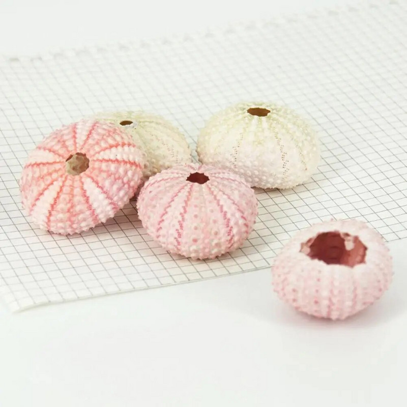 Izvrstan stolni ukras Široka primjena Dug životni vijek Praktični ukras morske školjke DIY uređenje doma