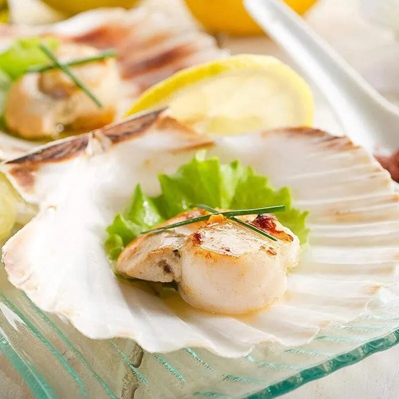 1 par prirodnih školjki jakobove kapice od 10 do 14 cm od bijelog kokosovog oraha, školjki za kućno vjenčanje, dekoracija za akvarij, uzorak školjki