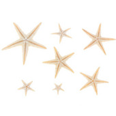 100 vnt Jūros kriauklių Mini Starfish Craft Decoration Natural Sea Stars DIY Beach Cottage Vestuvių dekoro amatų vestuvių dydis: 0,5-3 cm