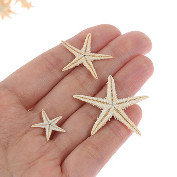 100 τμχ Κοχύλια θαλάσσης Mini Starfish Craft Decoration Natural Sea Stars DIY Beach Cottage Wedding Decor χειροτεχνίες γάμου μέγεθος:0,5-3cm