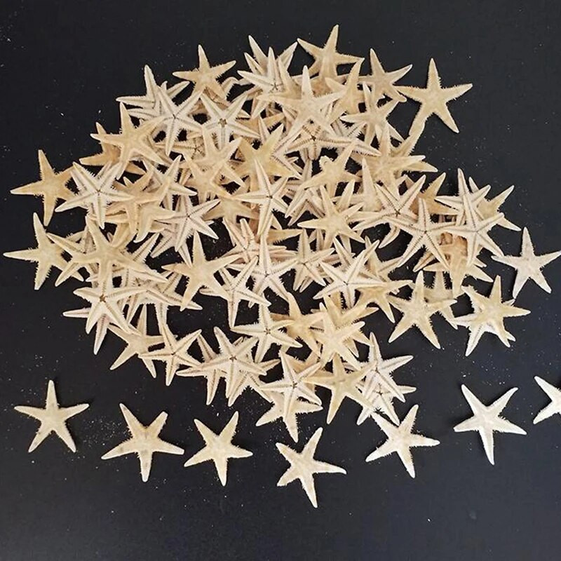 100 vnt Jūros kriauklių Mini Starfish Craft Decoration Natural Sea Stars DIY Beach Cottage Vestuvių dekoro amatų vestuvių dydis: 0,5-3 cm