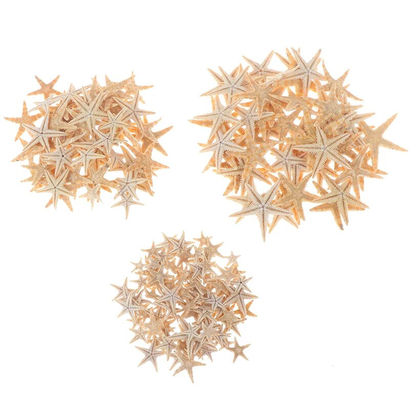 100 vnt Jūros kriauklių Mini Starfish Craft Decoration Natural Sea Stars DIY Beach Cottage Vestuvių dekoro amatų vestuvių dydis: 0,5-3 cm