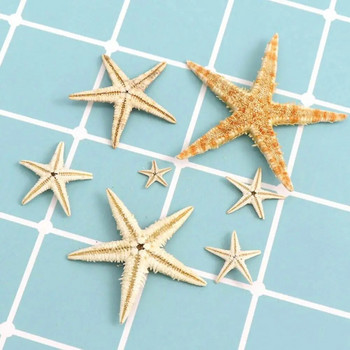 1 кутия Практична морска звезда Seashell бяла преносима бяла морска звезда различни размери Сватбена морска раковина Craft