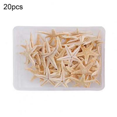 1 dėžutė praktiškas jūros kriauklių baltas nešiojamasis įvairaus dydžio vestuvinis jūrų kriauklių amatas