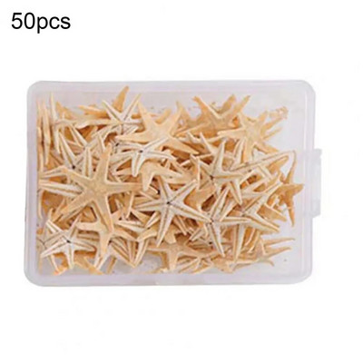 1 dėžutė praktiškas jūros kriauklių baltas nešiojamasis įvairaus dydžio vestuvinis jūrų kriauklių amatas