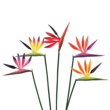 Изкуствени цветя от райска птица Фалшиво растение Цвете с дълго стъбло, подходящо за Направи си сам Декор на домашно парти