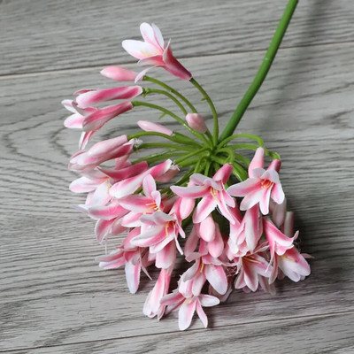 Prabangi afrikietiška agapanto gėlių šakelė fleurs artificielles namų vestuvių dekoravimui netikrų gėlių vainikas