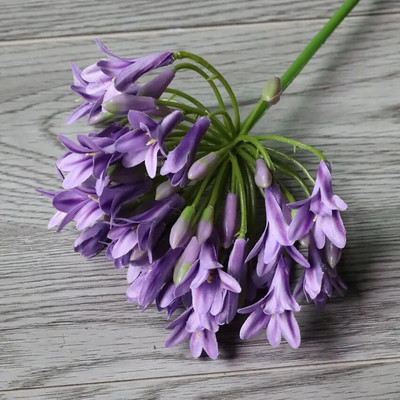 Prabangi afrikietiška agapanto gėlių šakelė fleurs artificielles namų vestuvių dekoravimui netikrų gėlių vainikas