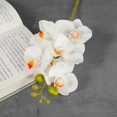 Kunstlik 5 plastist orhideed Plastikust Phalaenopsis lauakaunistus Kunstlillede lilleseade tarvikud