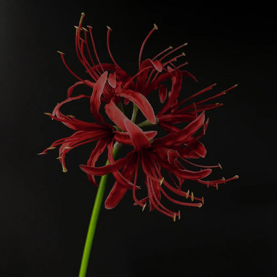 SunMade Magic Crin Ramă Echinocțiu Mătase Flori Artificiale Home Decor Nunta Decor Toamna Flores Artificiale Alb Crăciun