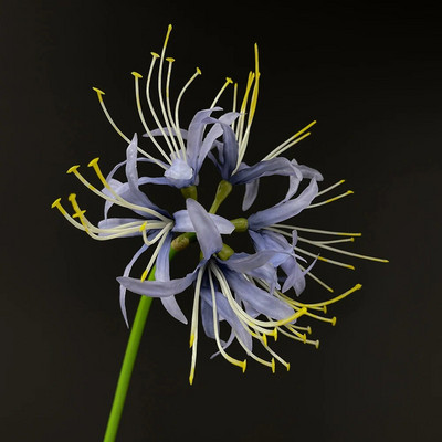 SunMade Magic Crin Ramă Echinocțiu Mătase Flori Artificiale Home Decor Nunta Decor Toamna Flores Artificiale Alb Crăciun