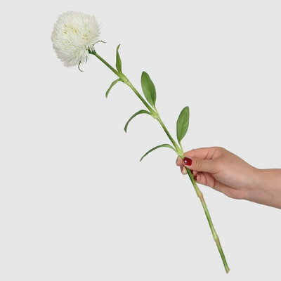 1 buc din silicon Dianthus verde truc floare artificială cu atingere reală plantă falsă pentru acasă decorare nuntă Halloween Crăciun