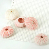 Jūros ežio kiautas Didelio patvarumo išskirtinės formos Akį traukiantis kriauklės kriauklė papuošalas „pasidaryk pats“ namų dekoravimo gimtadienio dovana