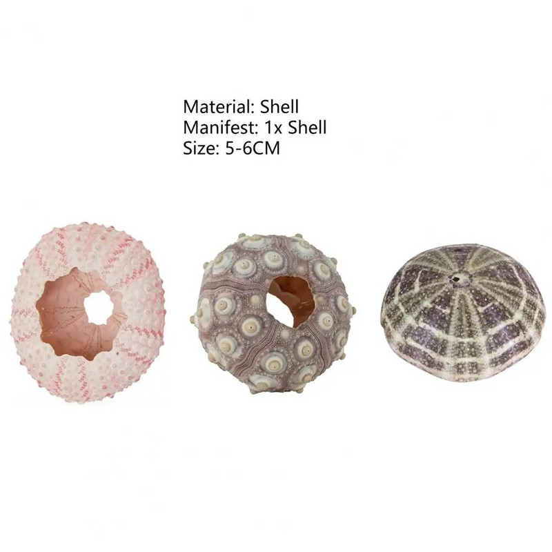 Jūros ežio kiautas Didelio patvarumo išskirtinės formos Akį traukiantis kriauklės kriauklė papuošalas „pasidaryk pats“ namų dekoravimo gimtadienio dovana