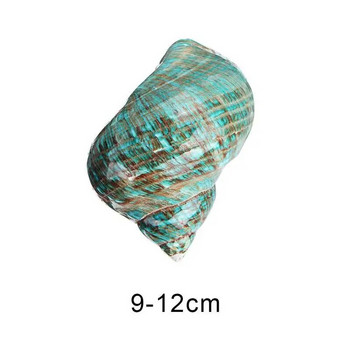 Φυσικό κέλυφος κόγχης Κοράλλι 8 εκ. Μεγάλο κέλυφος σαλιγκαριού Fluorescent Tower Δείγμα κοχυλιού σαλιγκαριού Σπίτι DIY Διακόσμηση