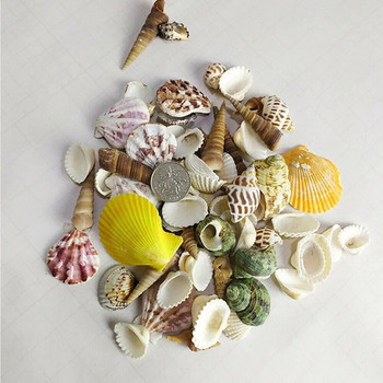 Декорация на плажа Естествена мида 100 г на опаковка Микс от морски черупки Раковина Направи си сам Микро пейзаж за градинска декорация на риба Hous R6k3