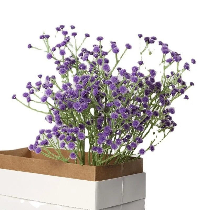 Flori conservate naturale proaspete uscate Gypsophila paniculata Buchete cu respirație veșnică Cadou de Ziua Îndrăgostiților Decor de casa de nuntă