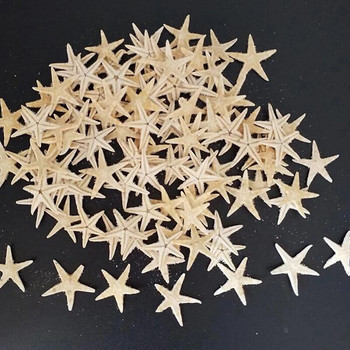 Размер на морски черупки: 0,5-3 см. 100 бр. Мини морски звезди Декорация на занаяти Естествени морски звезди