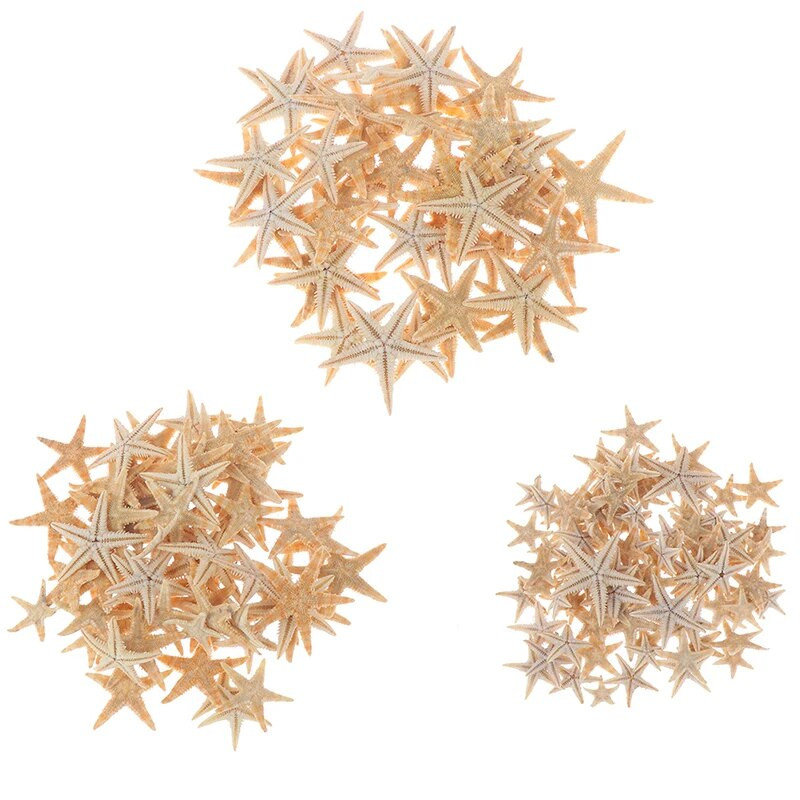 Tengeri kagyló mérete: 0,5-3cm 100db Mini Starfish Craft Dekoráció Természetes tengeri csillagok