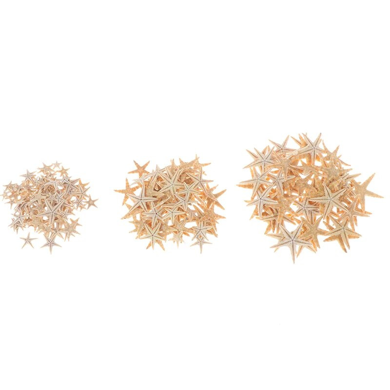Tengeri kagyló mérete: 0,5-3cm 100db Mini Starfish Craft Dekoráció Természetes tengeri csillagok