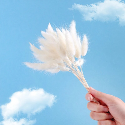 60 TK Kuiv jänku saba rohi looduslik pampa Kunstlik Lagurus Ovatus Kodu Boho Decor Pulmad Lilleseade Dekoratsioon