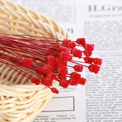 50 KOM/paket malih prirodnih osušenih buketa cvijeća, prirodnih osušenih buketa, osušenog konzerviranog cvijeća, vjenčana dekoracija