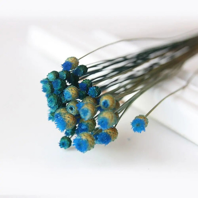 50 KOM/paket malih prirodnih osušenih buketa cvijeća, prirodnih osušenih buketa, osušenog konzerviranog cvijeća, vjenčana dekoracija