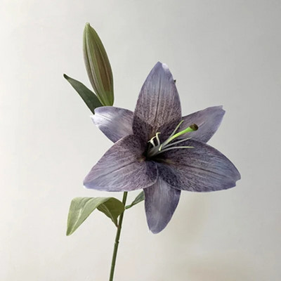 Ornament cu plante artificiale Crin premium Flori artificiale Sufragerie Dulap TV Masa de sufragerie Vaza Aranjament floral Decor