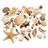 Prirodne mini školjke Mediteran 1 Vrećica Zanimljive miješane prave male morske školjke Ukrasi za akvarij Nautička dekoracija