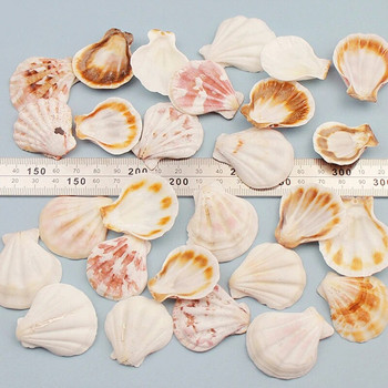 Естествена мини раковина Средиземно море 1 чанта Интересни цветни смесени истински малки морски черупки Орнаменти за аквариум Морска декорация
