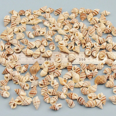 Prirodne mini školjke Mediteran 1 Vrećica Zanimljive miješane prave male morske školjke Ukrasi za akvarij Nautička dekoracija