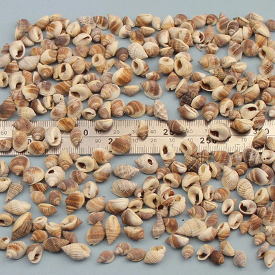 Prirodne mini školjke Mediteran 1 Vrećica Zanimljive miješane prave male morske školjke Ukrasi za akvarij Nautička dekoracija