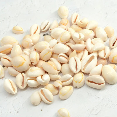 Prirodne mini školjke Mediteran 1 Vrećica Zanimljive miješane prave male morske školjke Ukrasi za akvarij Nautička dekoracija