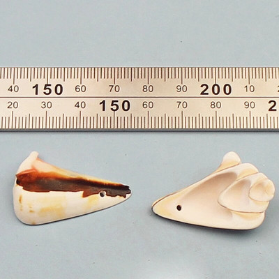 Prirodne mini školjke Mediteran 1 Vrećica Zanimljive miješane prave male morske školjke Ukrasi za akvarij Nautička dekoracija