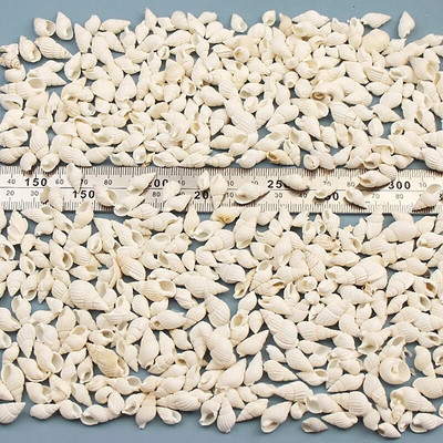 Prirodne mini školjke Mediteran 1 Vrećica Zanimljive miješane prave male morske školjke Ukrasi za akvarij Nautička dekoracija