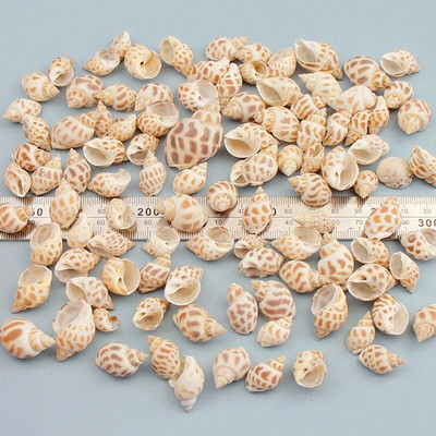 Prirodne mini školjke Mediteran 1 Vrećica Zanimljive miješane prave male morske školjke Ukrasi za akvarij Nautička dekoracija
