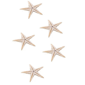 100τμχ Φυσικός αστερίας Seashell Beach Craft Natural Sea Stars DIY Χειροτεχνία διακόσμησης γάμου παραλίας Διακόσμηση σπιτιού Εποξειδική 1-3cm