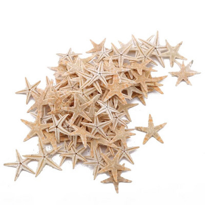 100 db Természetes tengeri csillag Seashell Beach Craft Natural Sea Stars DIY Beach Esküvői Dekoráció Kézműves Otthoni Dekoráció Epoxy 1-3cm