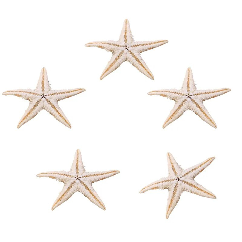 100 vnt. Natūralūs Starfish Seashell Beach Craft Natūralūs jūros žvaigždės „Pasidaryk pats“ paplūdimio vestuvių dekoravimo amatai Namų dekoro epoksidinė 1–3 cm