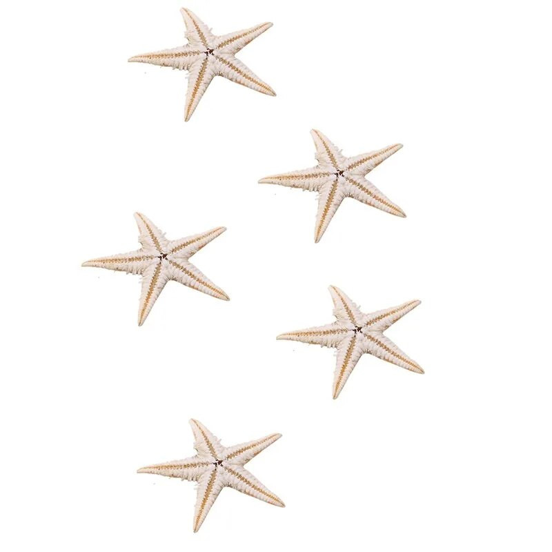 100 vnt. Natūralūs Starfish Seashell Beach Craft Natūralūs jūros žvaigždės „Pasidaryk pats“ paplūdimio vestuvių dekoravimo amatai Namų dekoro epoksidinė 1–3 cm