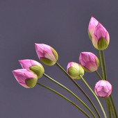 81 CM 1 Buc Simulare Lotus Bud Bud Acasă Sufragerie Masă de Sufragerie Decorare Nunta Floare Artificială Plantă Falsă de Înaltă Calitate