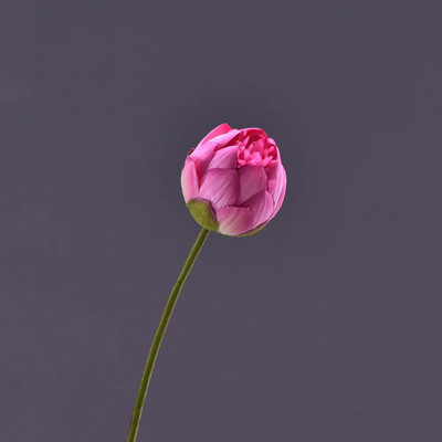 81 CM 1 Buc Simulare Lotus Bud Bud Acasă Sufragerie Masă de Sufragerie Decorare Nunta Floare Artificială Plantă Falsă de Înaltă Calitate