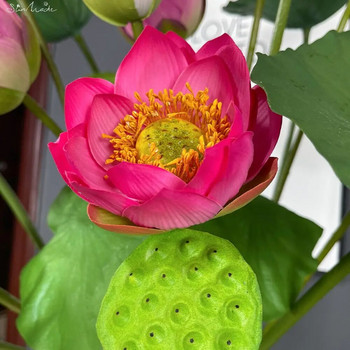 SunMade Υψηλής Ποιότητας Lotus Silk Artificial Flower Lotus Seedpods Σπίτι Γάμος Διακόσμηση Κήπου Plantas Artificales Ψεύτικα φυτά